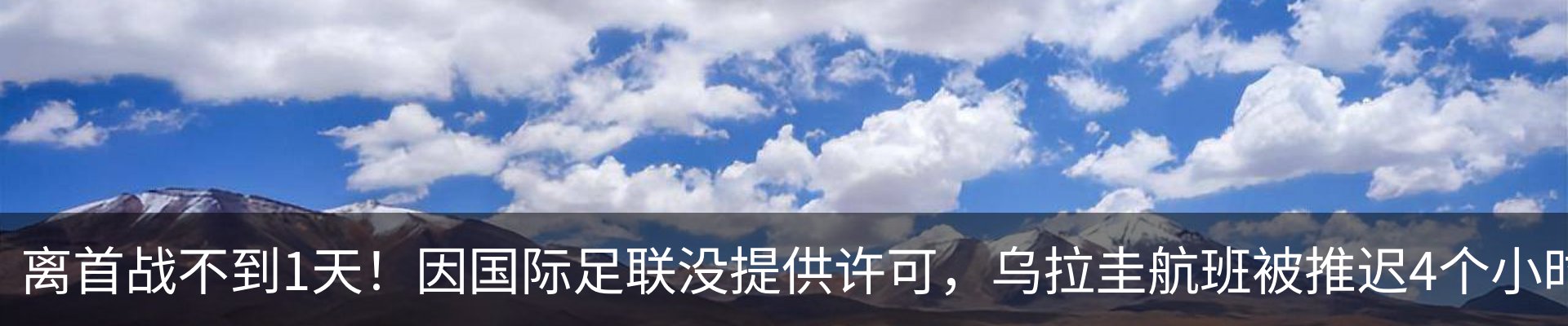 最新动态